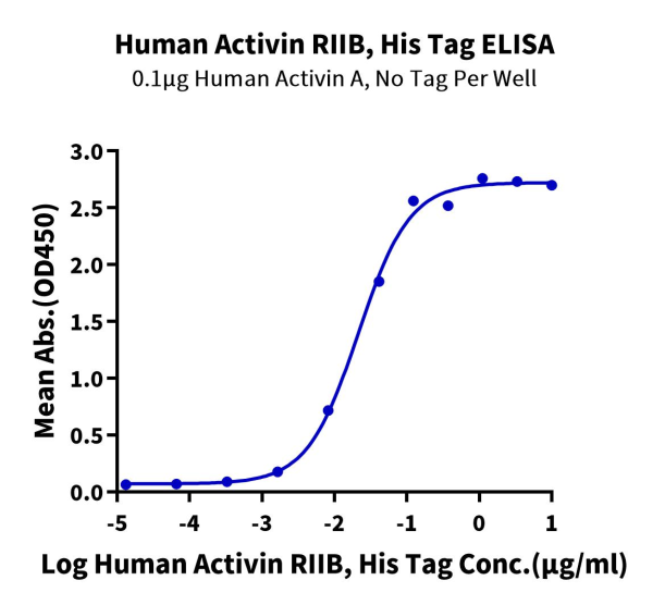 Human Activin RIIB/ACVR2B Protein