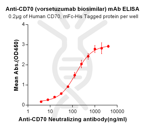 Anti-CD70 (vorsetuzumab biosimilar) mAb