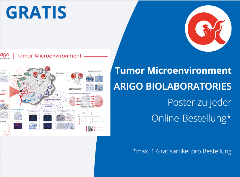 Tumor Microenvironment Poster