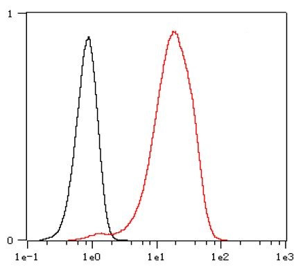 Anti-CD31, clone SQab1892