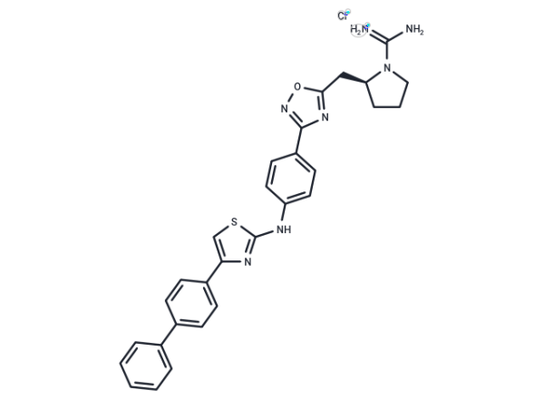 SLC4101431