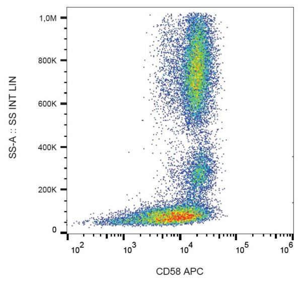 Anti-CD58 / LFA-3, clone MEM-63 (APC)
