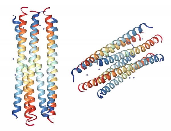 Dermcidin-1L (human) . TFA