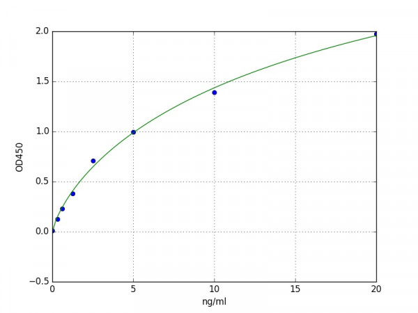 Human SERCA3 / Sarcoplasmic / endoplasmic reticulum calcium ATPase 3 ELISA Kit