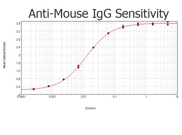Anti-Mouse IgG (H&amp;L) [Rabbit]