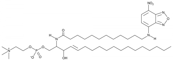 C12 NBD Sphingomyelin (d18:1/12:0)
