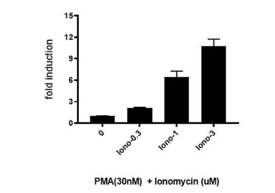 NFAT Luciferase Reporter CHO Cell Line (PKC/Ca2+ Signaling Pathway)