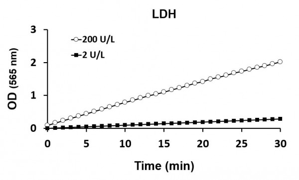 Lactate Dehydrogenase Assay Kit
