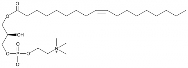 1-Oleoyl-2-hydroxy-sn-glycero-3-PC