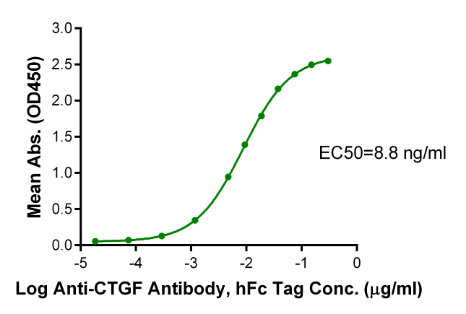 CTGF/CCN2, His, Rhesus macaque