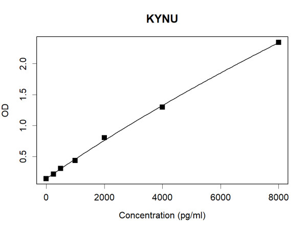 KYNU (human) Antibody Pair
