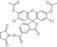 CDCFDA, SE (5-(and-6)-Carboxy-2&#039;,7&#039;-dichlorofluorescein diacetate, succinimidyl ester) *Mixed isomer