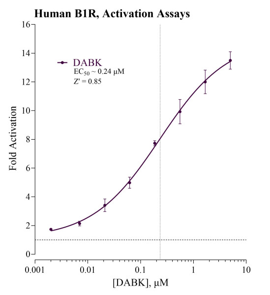 B1R Inhibition Reporter Assay System (human)