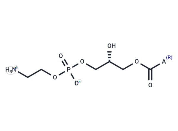 Lysophosphatidylethanolamines (egg)