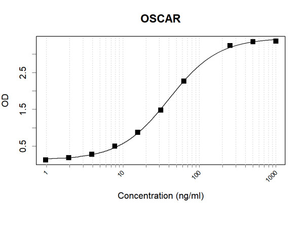 Anti-Human OSCAR Antibody Pair