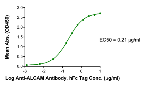 ALCAM/CD166, His, Human