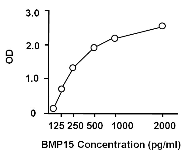 Human BMP15 ELISA Kit