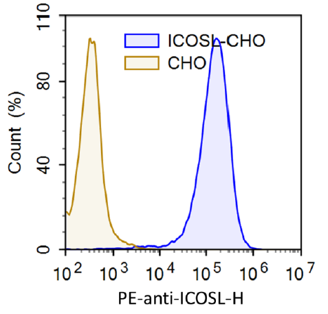 ICOSL (B7-H2) -CHO Recombinant Cell Line