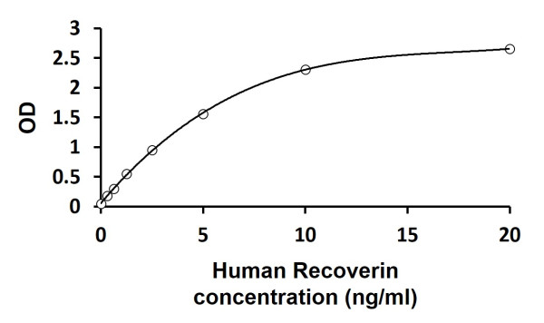 Human Recoverin ELISA Kit