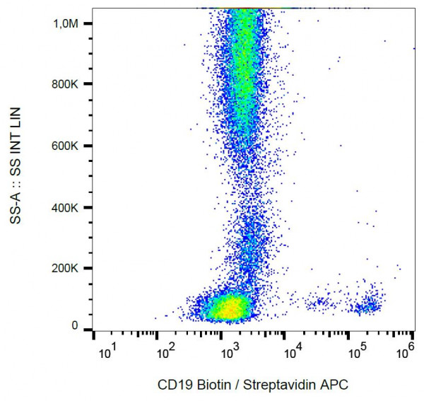 Anti-CD19, clone LT19 (biotin)