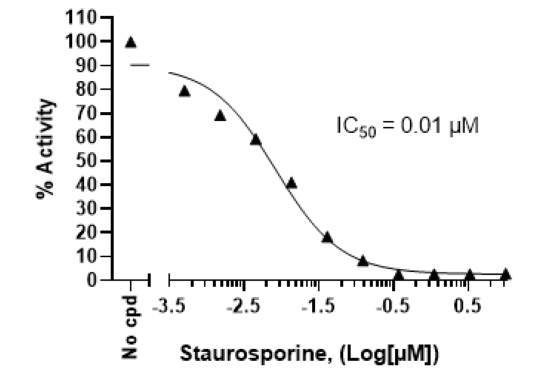Chemi-Verse(TM) CLK1 Kinase Assay Kit