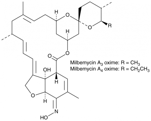 Milbemycin oxime