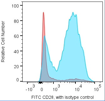 Anti-CD28