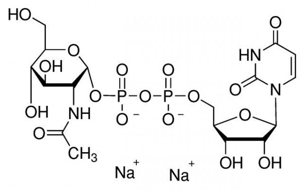 Uridine-5-diphospho-N-Acetyl glucosamine Sodium Salt