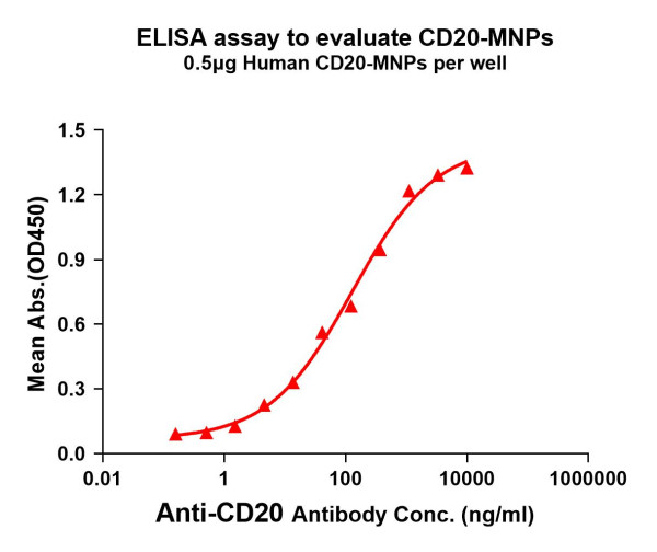 CD20 (human) full length protein-MNP