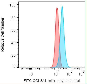 Anti-COL3A1 (recombinant antibody)