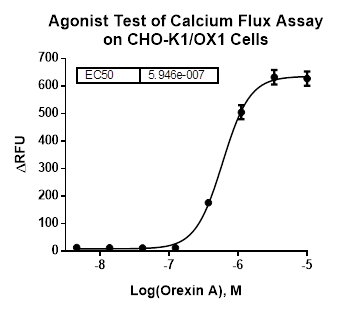 CHO-K1/OX1 Stable Cell Line