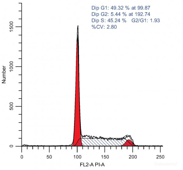 Cell Cycle Assay Kit (Fluorometric - Red)