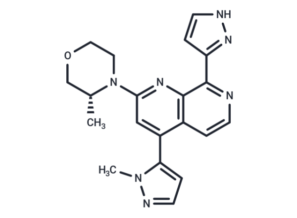 Elimusertib
