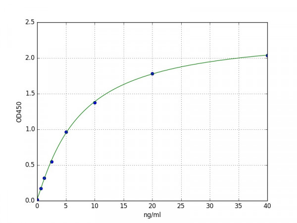 Human SLC16A8 ELISA Kit
