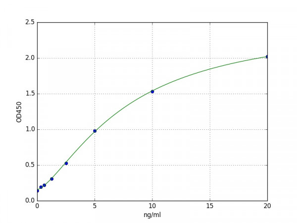 Human CXCR1 / IL-8 receptor alpha ELISA Kit
