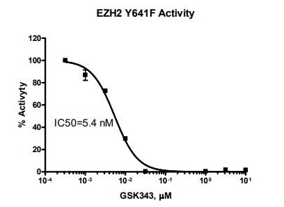 EZH2 (Y641F) Chemiluminescent Assay Kit