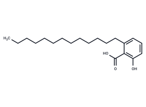 Ginkgolic Acid (C13:0)