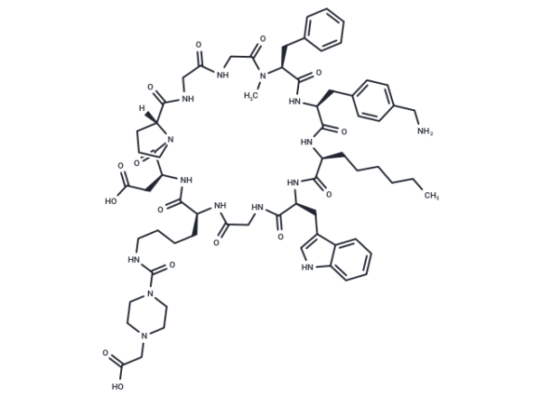 FAP targeting peptide for FXX489