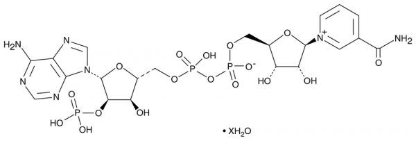 NADP+ (hydrate)