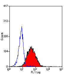 Anti-CD312 / EMR2 (RPE), clone 2A1