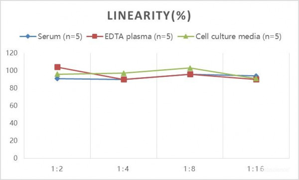 Mouse LEP (Leptin) ELISA Kit