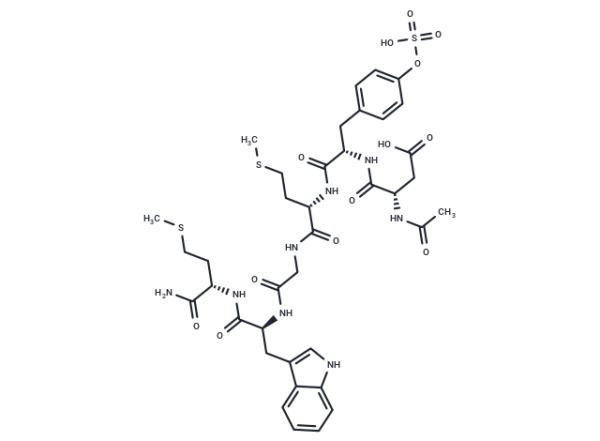 CCK (26-31) (sulfated)
