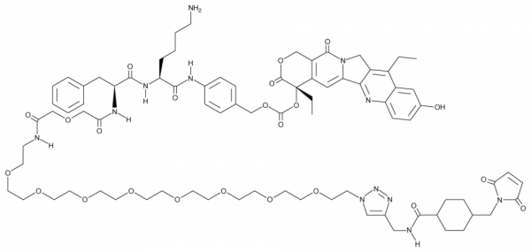 CL2-SN-38 (dichloroacetic acid salt)