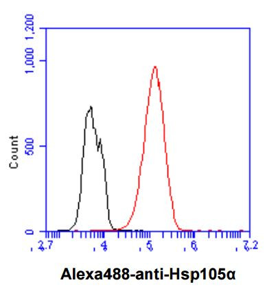 Anti-Hsp105, clone J1G12
