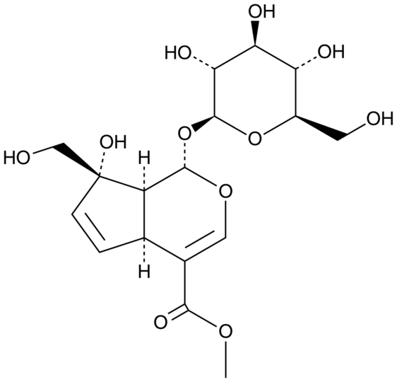 Gardenoside