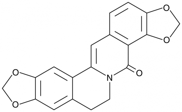 8-Oxycoptisine