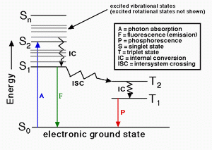 FluoroQuest(TM)Fluorescence Quantum Yield Determination Kit *Optimized for Bioconjugates*