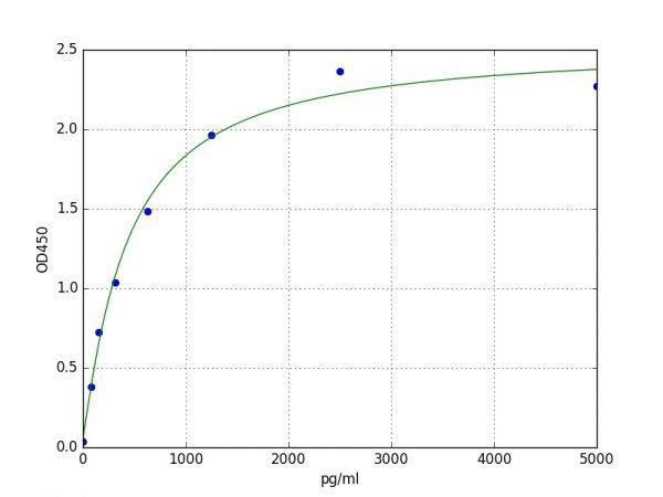 Human CD177 ELISA Kit