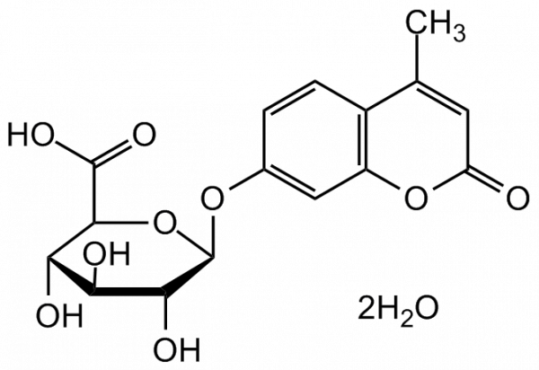 4-Methylumbelliferyl beta-D-glucuronide dihydrate