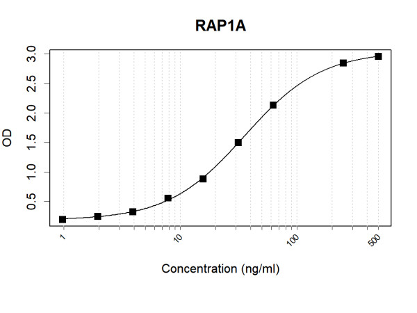 Anti-Human RAP1A Antibody Pair